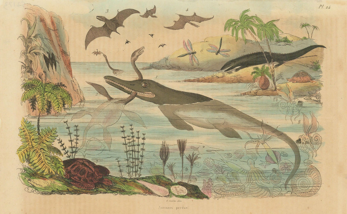 DINOSAURS. Animaux Perdus. Various extinct animal species 1833 old print